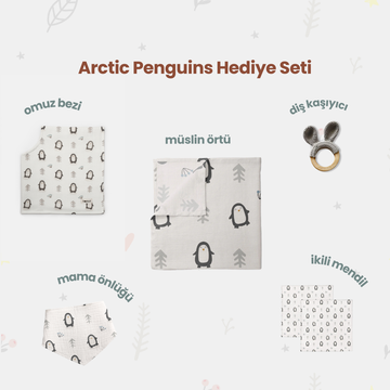 Arctic Penguins Bebek Hediye Seti