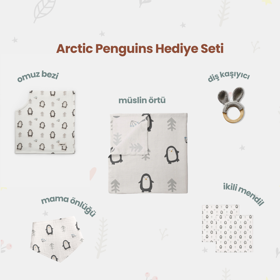 Arctic Penguins Bebek Hediye Seti
